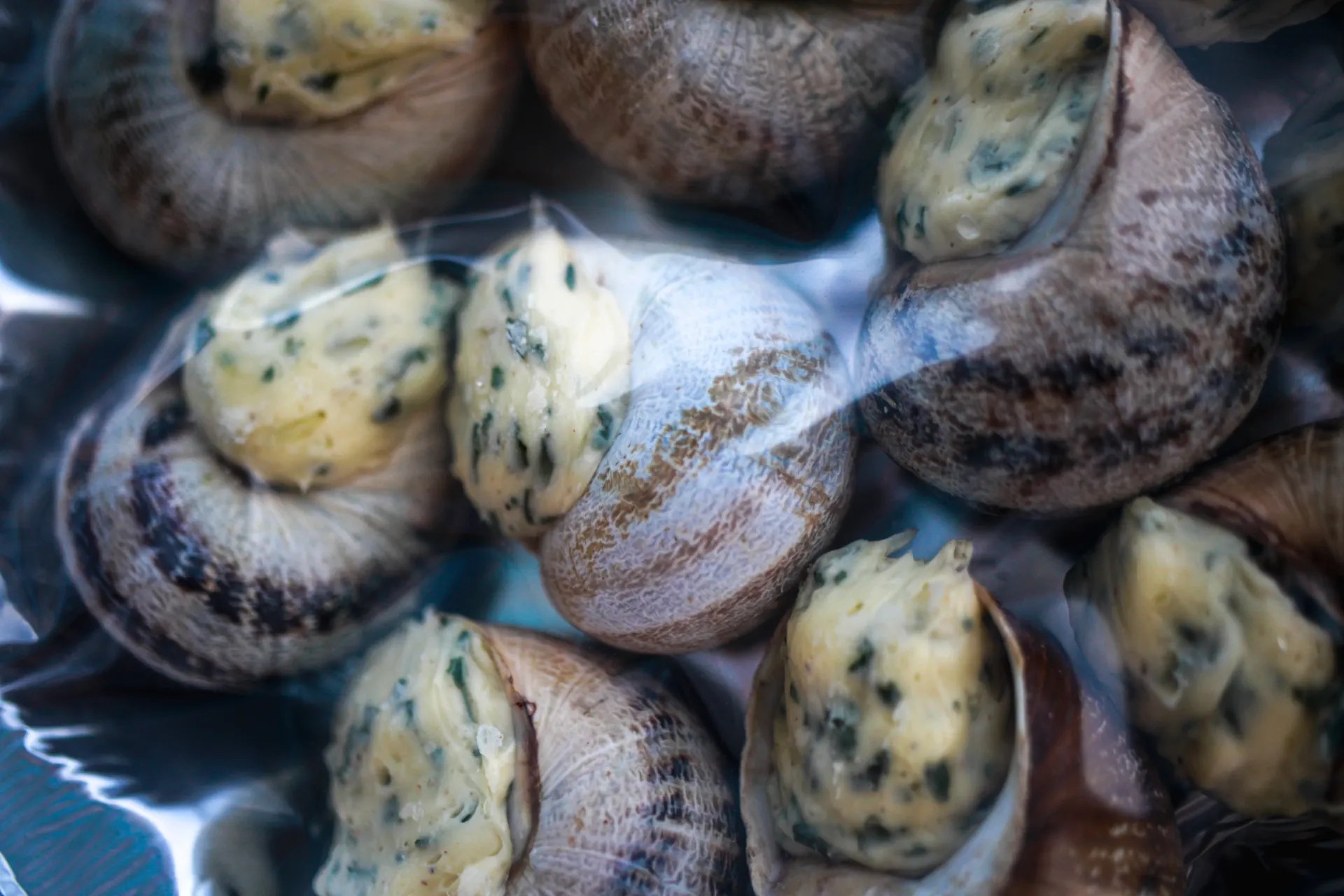 [6 coq ail] 6 petit-gris en coquilles à la bourguignonne
