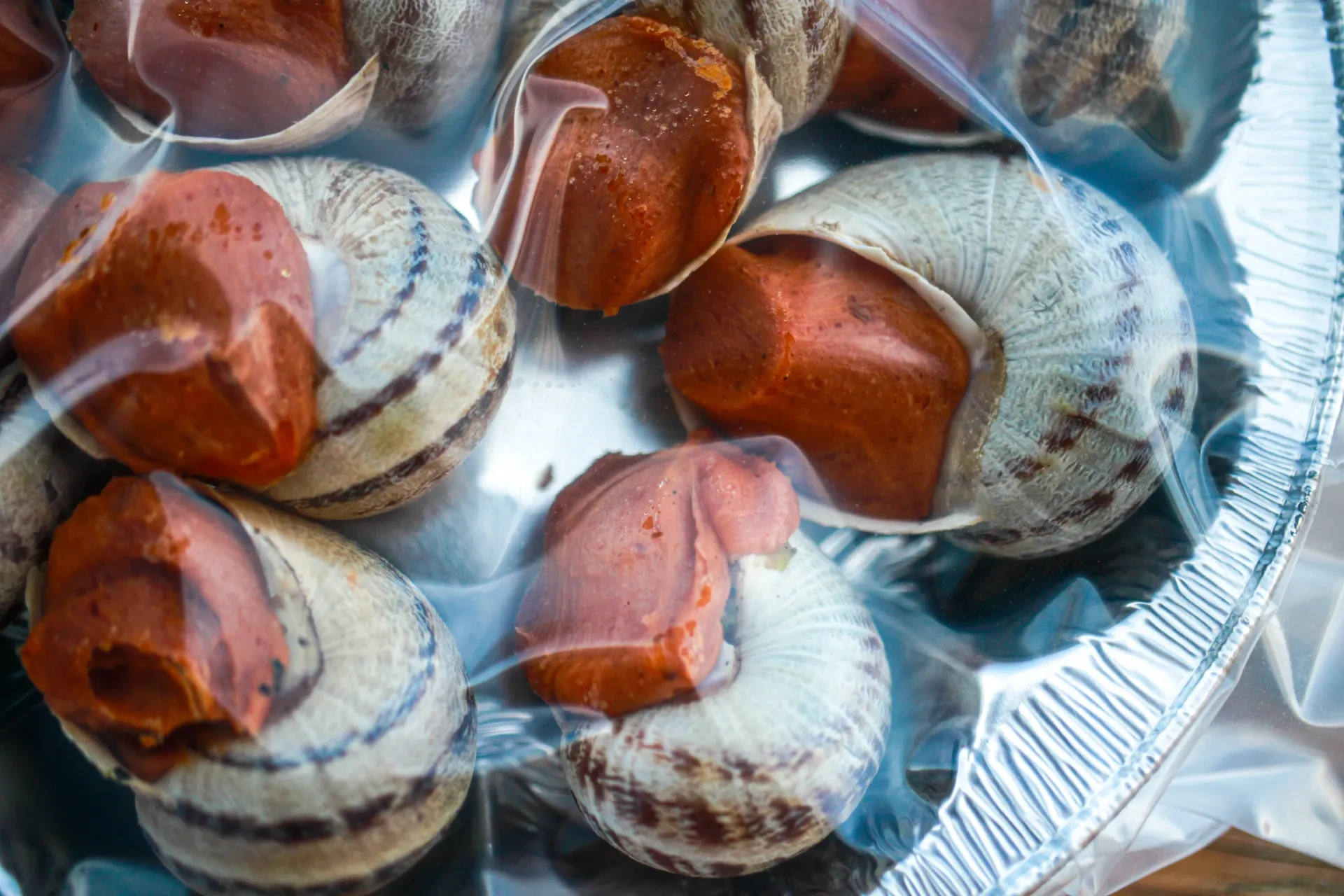 12 petit-gris en coquilles au beurre rouge
